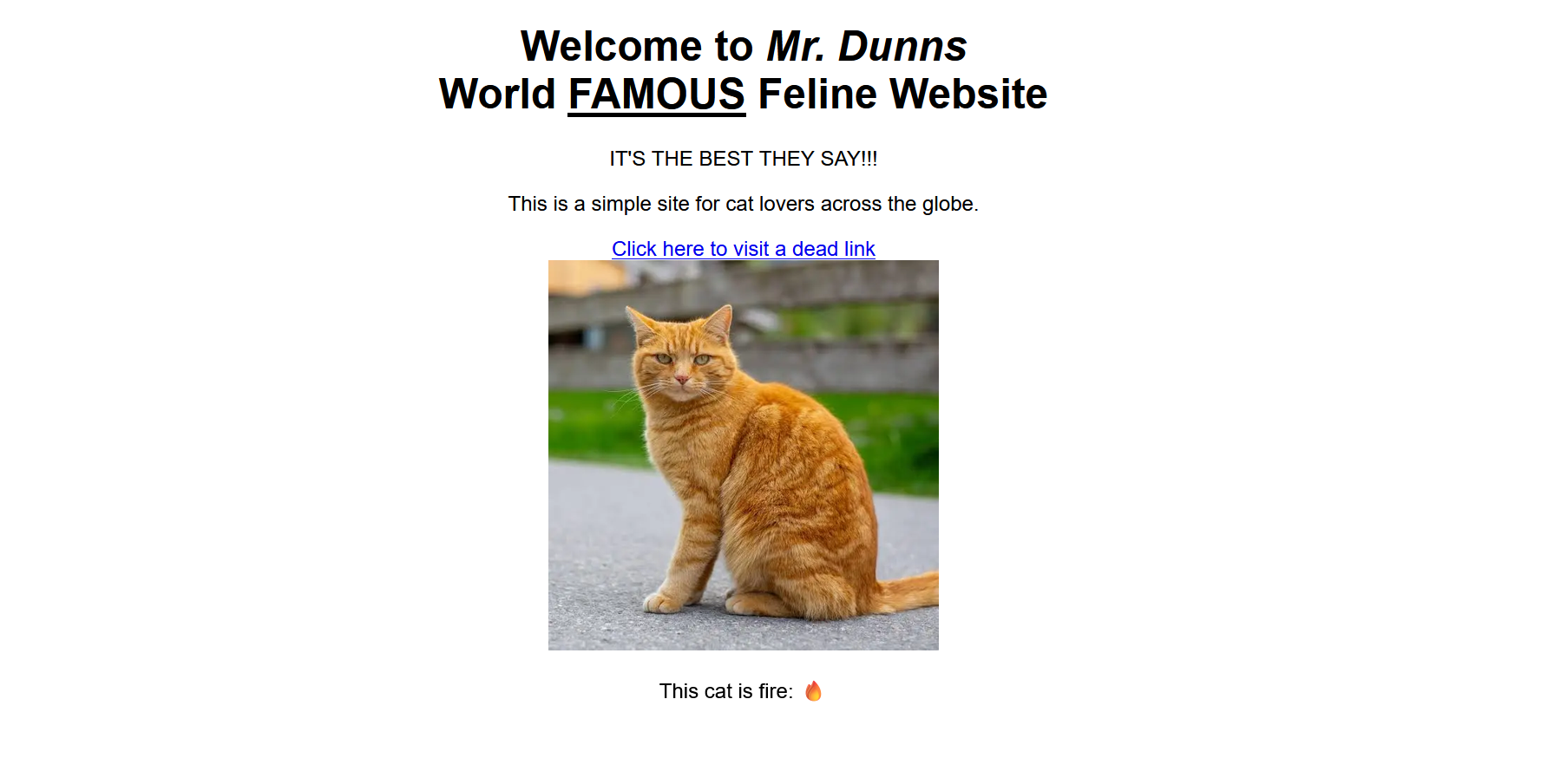 FAMOUSE Feline website screenshot