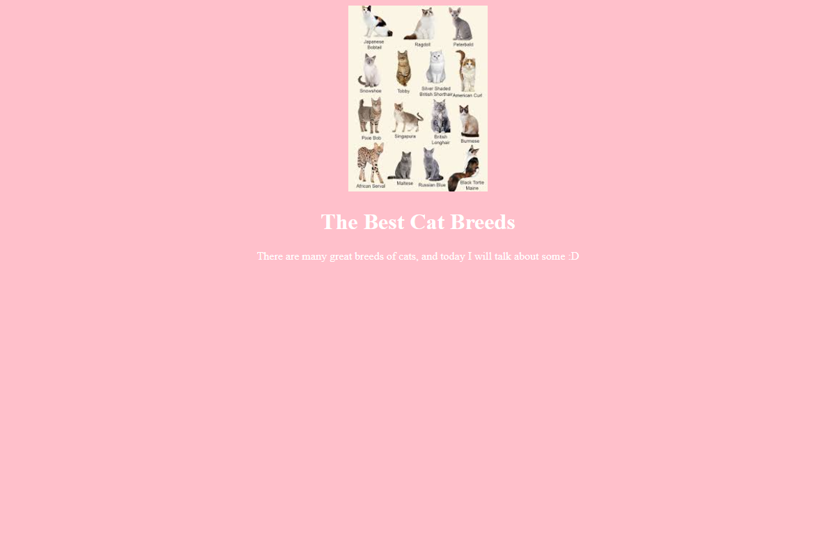 Website Thumbnail
